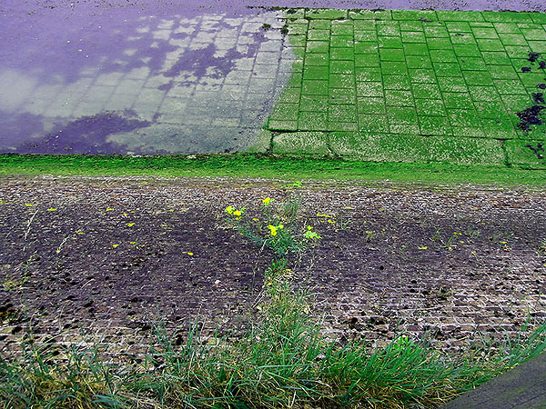 kleuren pallet helling kuisbank